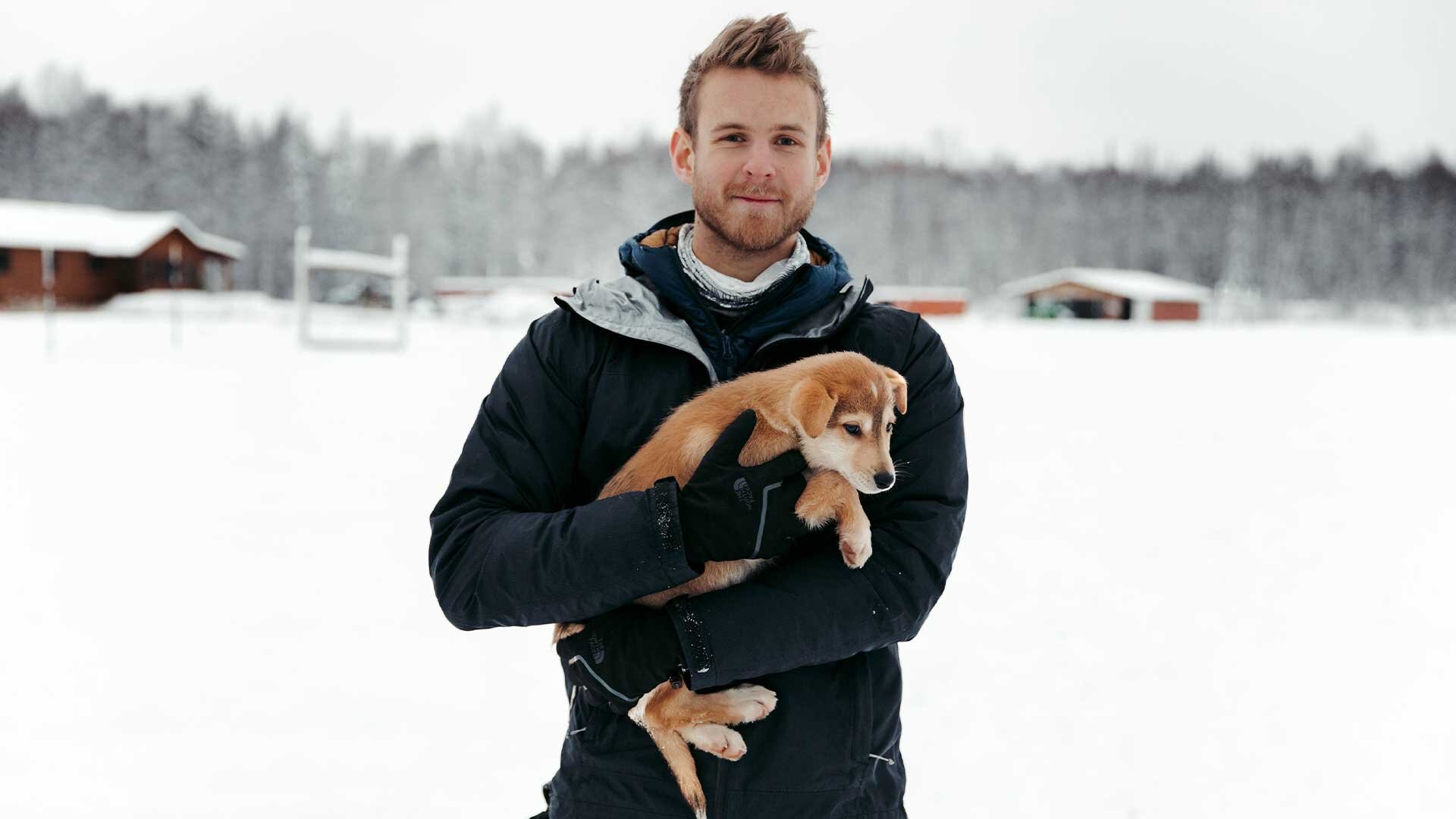 sled dog puppy - dallas seavey