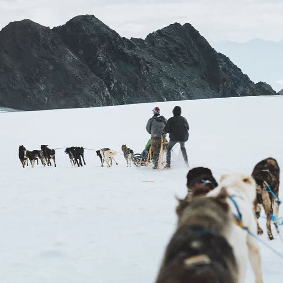 glacier sled dog tours