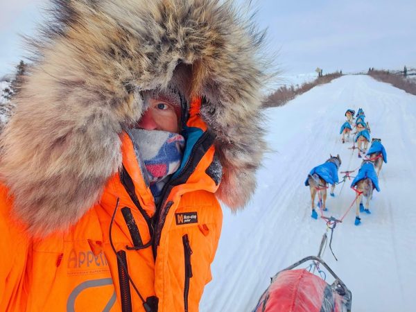 Sled Dog Racer